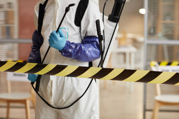 Professional Hoarding Cleanup technician working in Hillsborough, CA